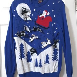 Kitten Christmas Sweater 🐱